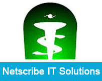 Netscribe IT Solutions